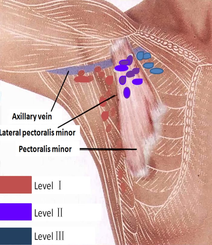 https://bahriainternationalhospital.com/general-surgery-dr-iqbal/